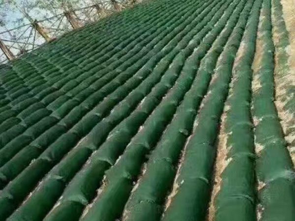 生態(tài)袋